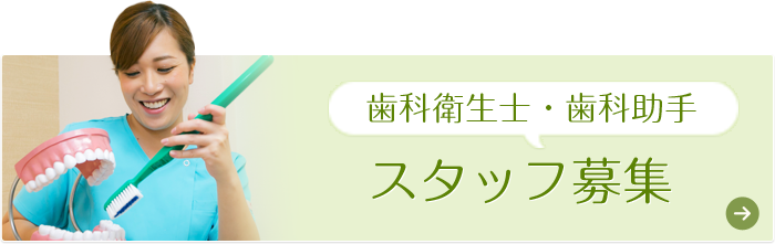 スタッフ募集